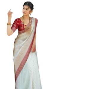 Banarasi Silk Saree, Multi Color With Border, Traditional Woven Design, Free Size