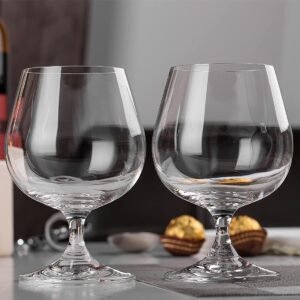 Brandy Glasses for Whiskey, Short Stem Wine Glass Set for Bourbon, Cognac, Brandy Classic Wine Glasses Perfect for Parties, Gifts (250 ML) (Pack of 2)