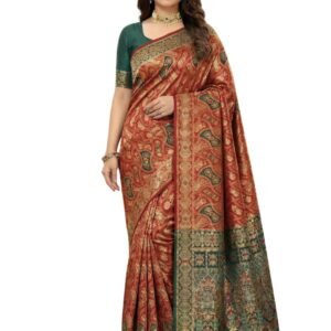 C J Enterprise Women's Pure Soft Silk Saree With Blouse Piece For Wedding (Damru-Patola)