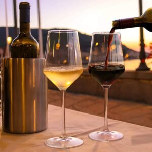 NeWine Italian Style 420ml Red Wine Glasses Set of 2 | Premium Crystal Clear Lead Free and Shatter Resistant Wine Glass | Perfect for Home, Office, Bars and Parties